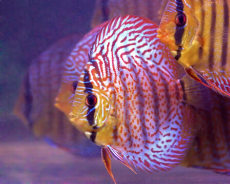 Besuchergruppe in der Zuchtanlage